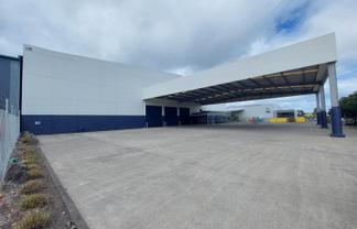 WIRI INDUSTRIAL GOLD
