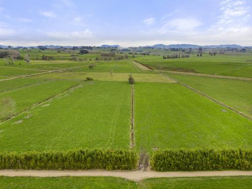 221 Herbert Road, Rotongaro