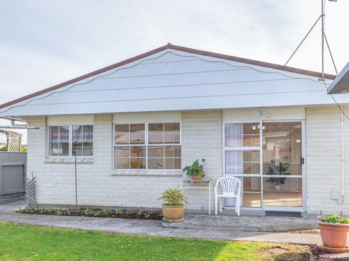 100A Winchester Street, Levin