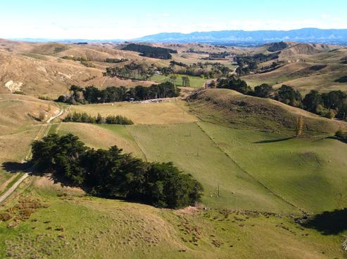 830 Weber Road, Dannevirke