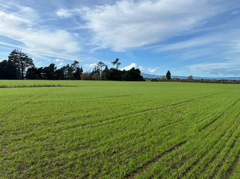 314 Campbell Road, Richmond Downs