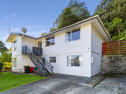 19 Mamaku Street, Paraparaumu