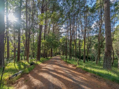 1409 Tairua Whitianga Road, Whenuakite