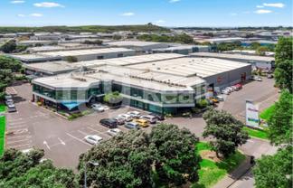 Open Plan Penrose Office | 137sqm