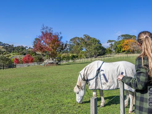 25 School Road, Waimauku