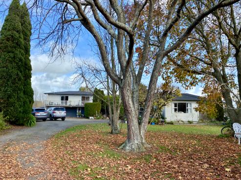 331 Kairanga Bunnythorpe Road, Bunnythorpe