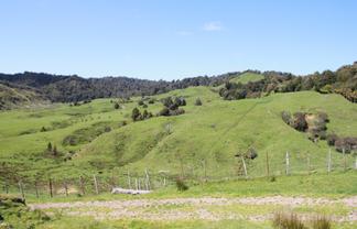 262 Waitaanga North Road, Waitaanga