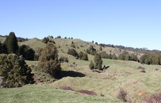 1427 Waitaanga Road, Waitaanga
