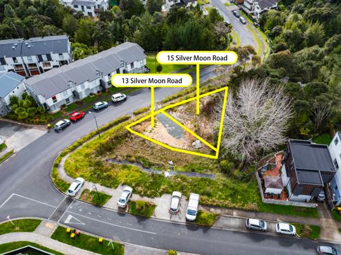 13 Silver Moon Road, Albany Heights