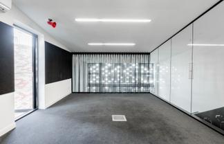 Svelte Ponsonby Office on Pollen | 299m2