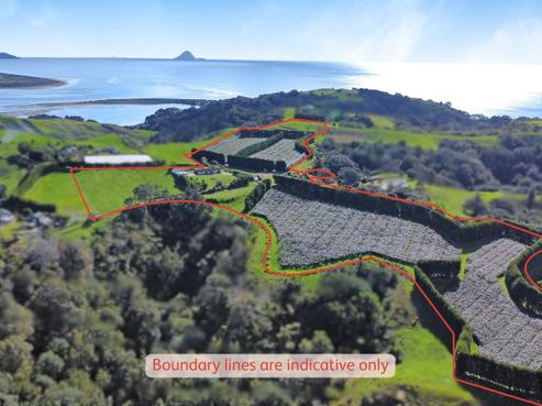 98 Ohiwa Harbour Road, Opotiki and Surrounds