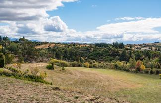 167 Dominion Road, Mahana