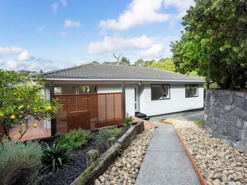 19 Hydra Place, Glen Eden