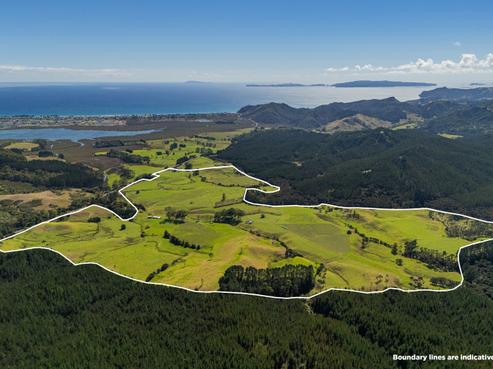 650 Te Rerenga Kuaotunu Road, Whangapoua