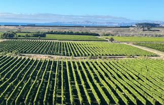  Renners Road, Lower Dashwood