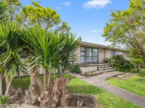 49 Tower Road, Matamata