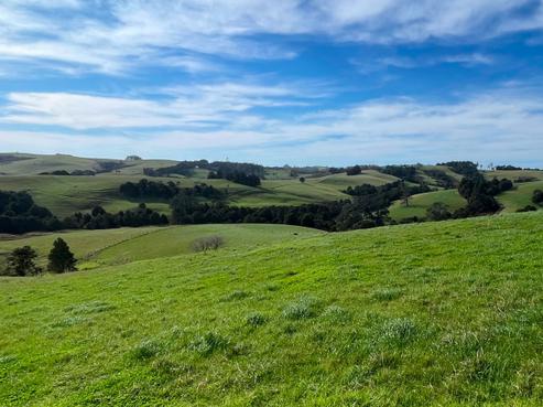 227 Tapu Bush Road, Whangaripo