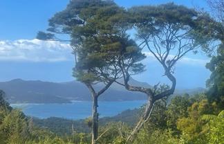 240 Schooner Bay Road, Great Barrier Island