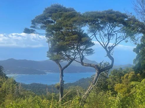 240 Schooner Bay Road, Great Barrier Island
