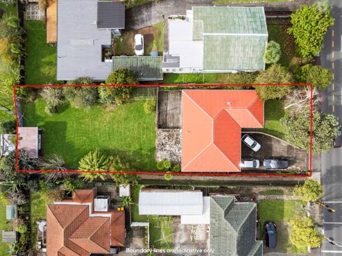 3179 Great North Road, New Lynn