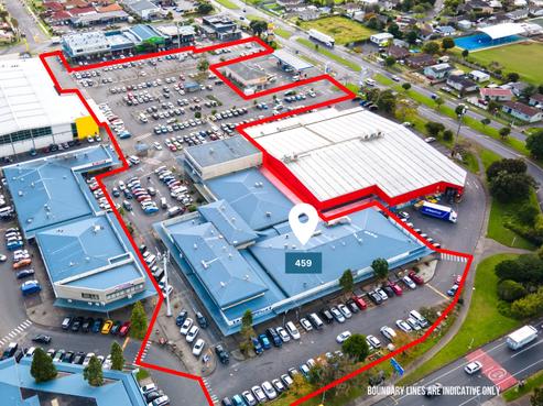 459 Roscommon Road, Clendon Park