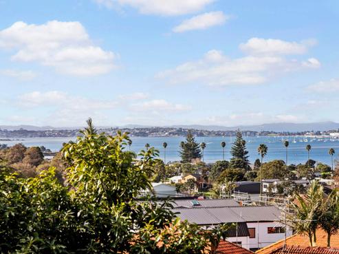 44 Court Crescent, Panmure