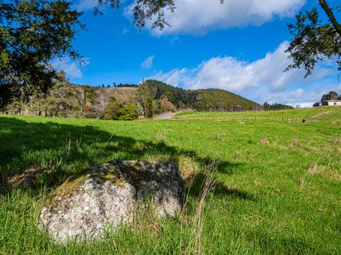 451 Crane Road, Kauri