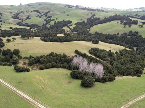 4283 State Highway 12, Dargaville Surrounds