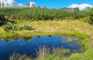 27 Riddell Road, Kerikeri