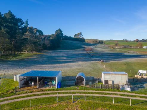 164 Mount Herbert Road, Waipukurau and Surrounds