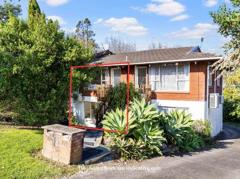 10A Budgen Street, Mount Roskill