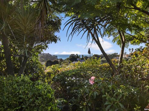 3 Rakau Views, Orewa
