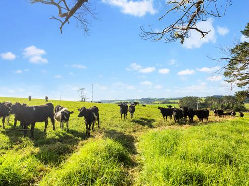 32 Hutchinson Road, Helensville