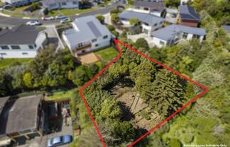 21a Lomita Rd, Johnsonville