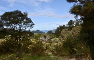 Lot 6, 131 Paul Road, Tairua