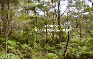 Lot 5, 131 Paul Road, Tairua