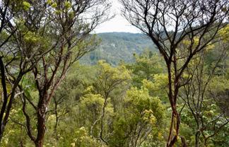 Lot 4, 131 Paul Road, Tairua