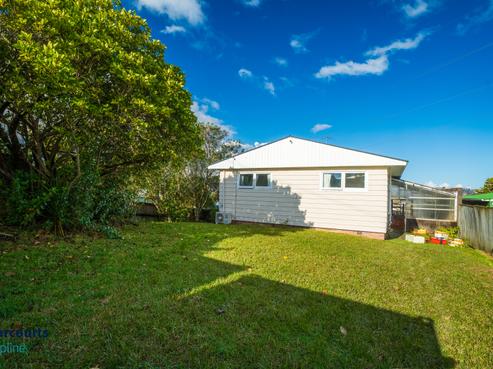 20 Parfitt Street, Mount Roskill
