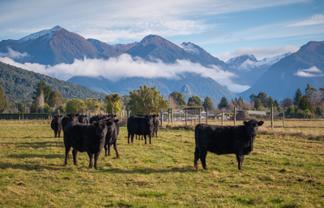 70 Hillside-Manapouri Road, Manapouri