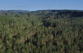 3811 Waitotara Valley Road, Ngamatapouri, Waitotara