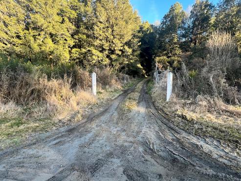 1206 Haupiri Road, Haupiri