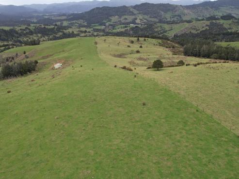 372 Omahuta Road, Mangamuka