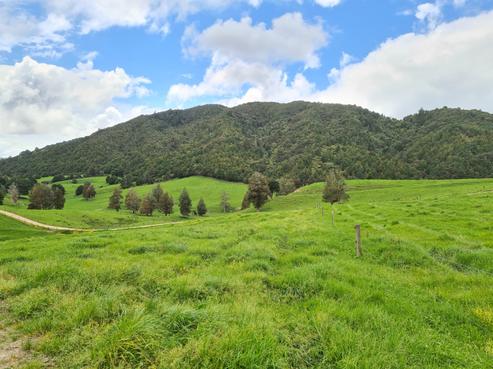 934 Golden Stairs Road, Otamatea Surrounds