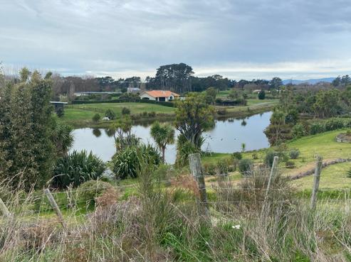 38 Palmer Road, Foxton Beach