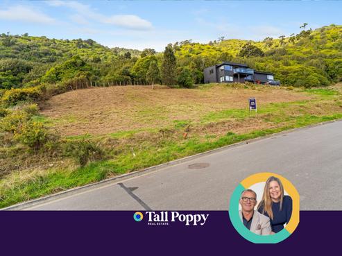 31 Wilson Way, Waikanae