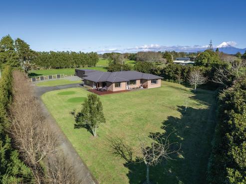 99 Raleigh Street, Waitara