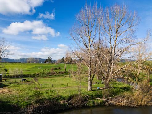 339A Te Poi South Road, Te Poi