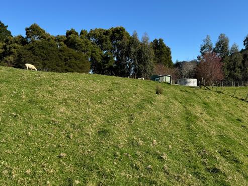 515 Kauaeranga Valley Road, Thames