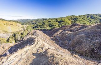 Lot 1 Oio Road, Owhango