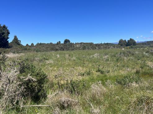1128 Woodstock-rimu Road, Hokitika
